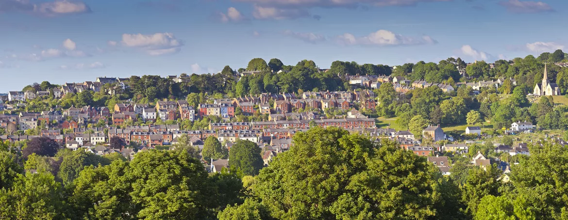 Image of residential area with houses and greenery